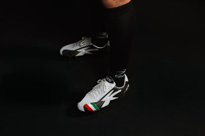 LEYENDA 2010